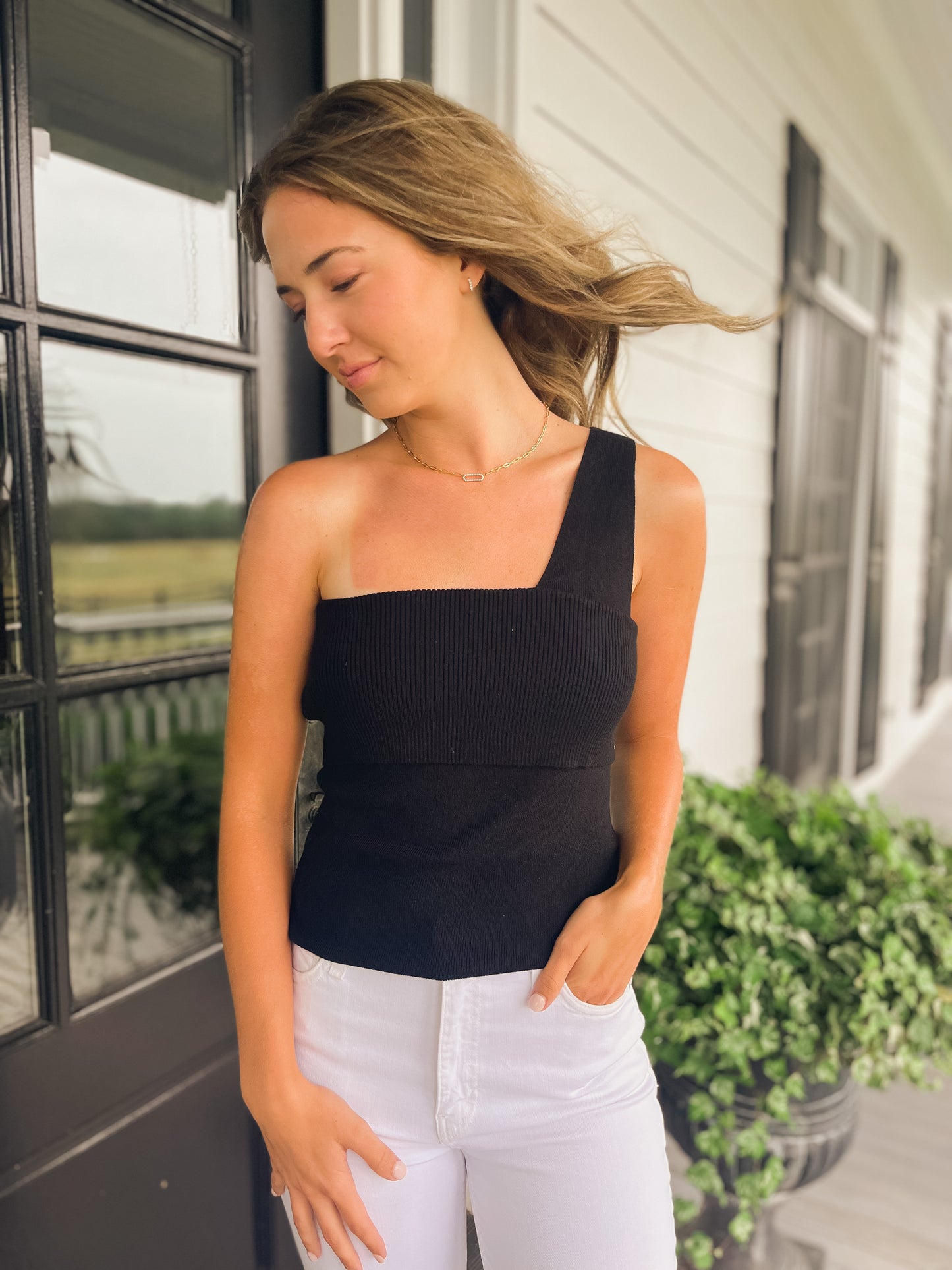 Sylvie Sleeveless Sweater Top